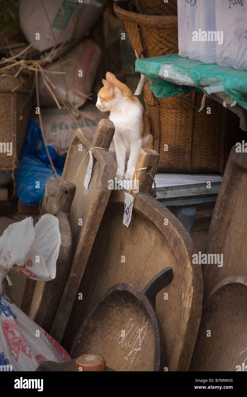 Eine Katze unter der Ware für den Verkauf in einem Shop in Luang Prabang Laos Stockfoto