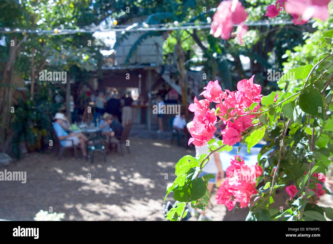 Entspannen in der blauen Himmel Restaurant Key west Stockfoto