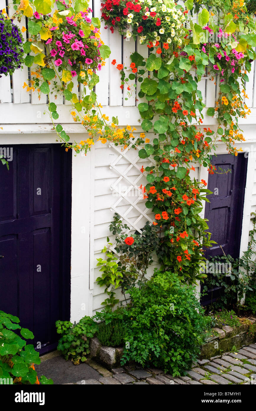 Detail einer blumigen Straße in der Altstadt von Stavanger (Gamle Stavanger), Norwegen. Stockfoto