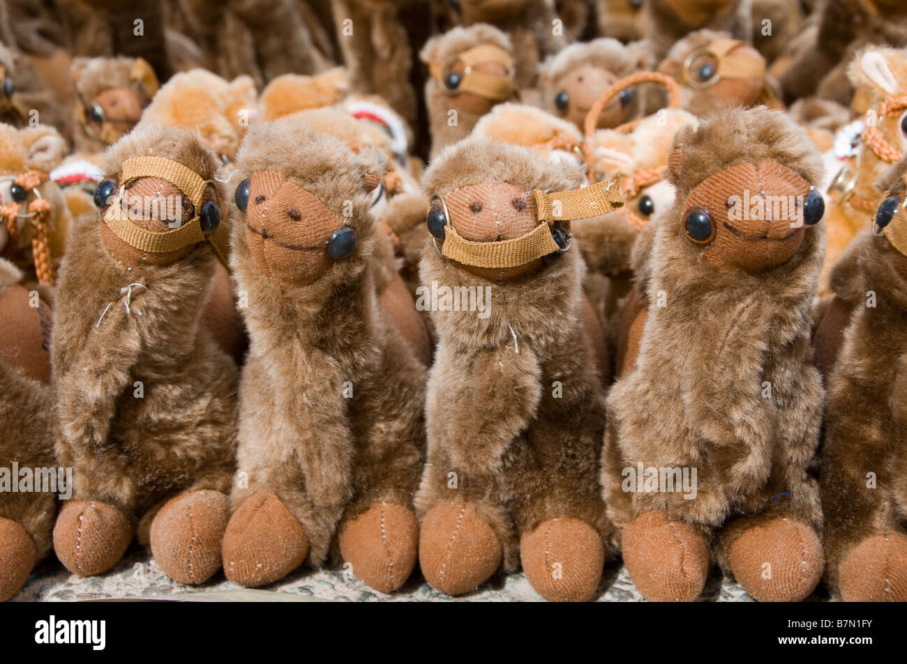 Spielzeug-Kamele Stockfoto