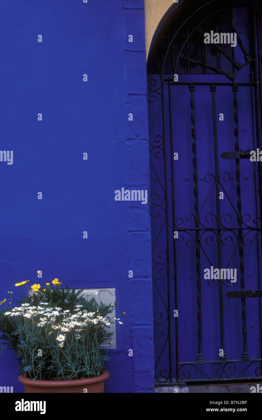 Haus lackiert mit Blumen Topf, Santorini, Griechenland, Europa blau Stockfoto
