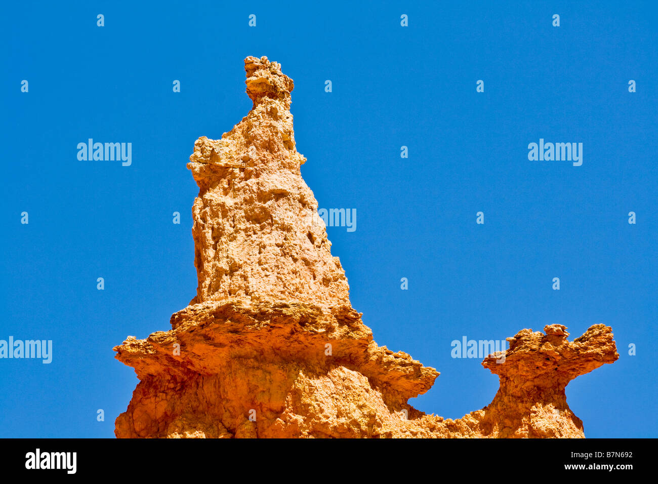 Königin Victoria geformten Felsen, Queens Garden Trail, Bryce Canyon Stockfoto