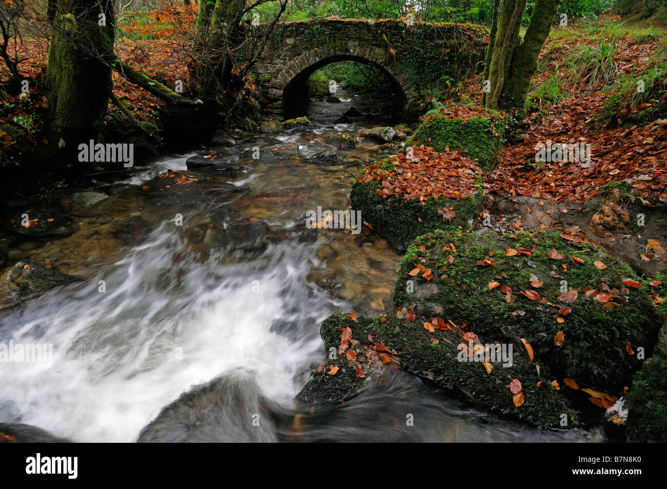 Steinbrücke über Stream Herbst braune Blätter Blatt Herbst herbstliche rustikale Olc malerische Picteresque Inistioge County Kilkenny Irland Stockfoto