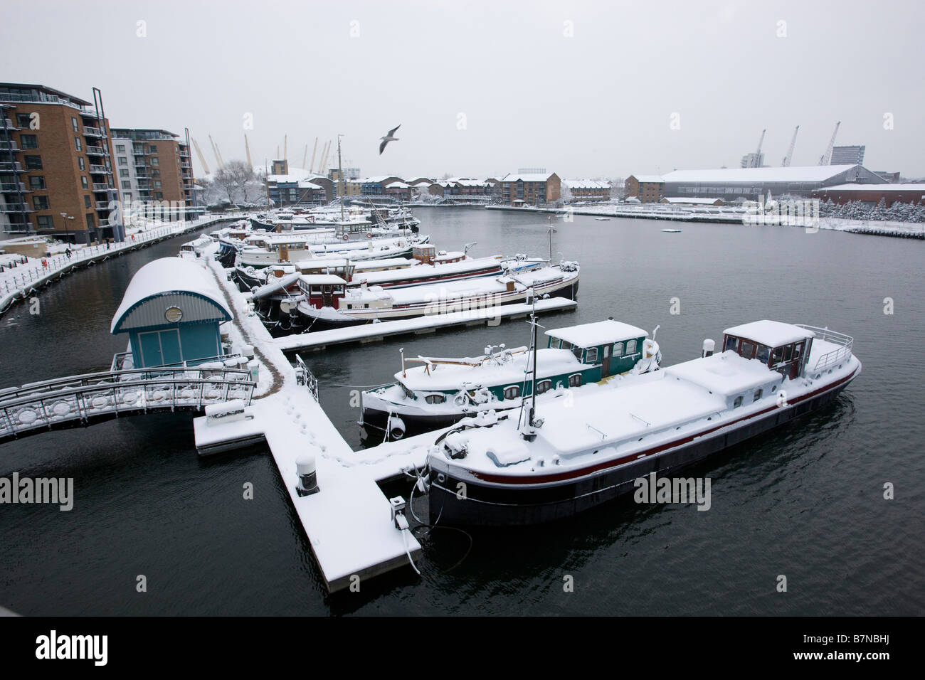 Aufnahmen im Schnee in den Docklands von London Februar 2009 Hausboote auf Blackwall Basin Stockfoto