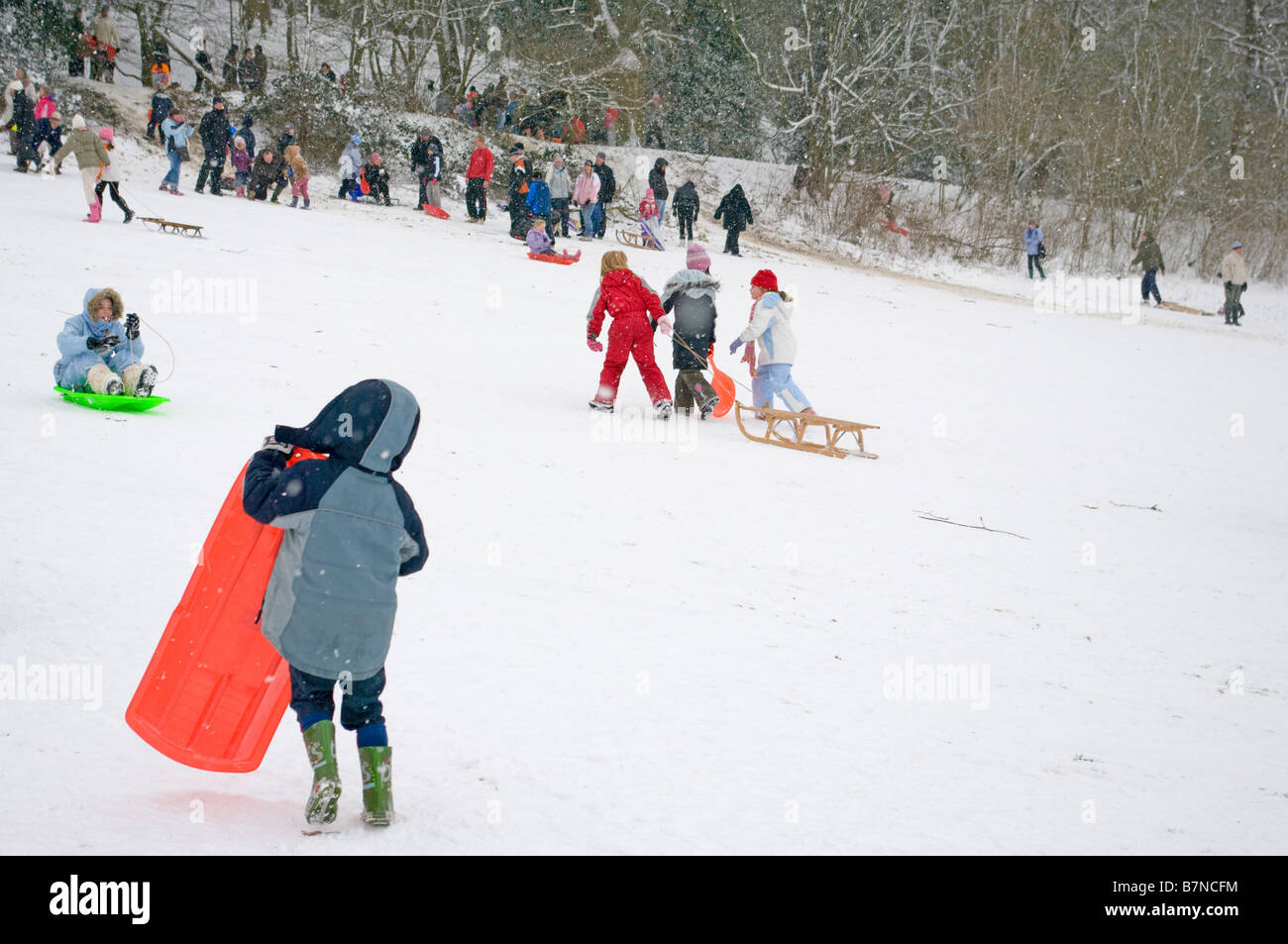 Menschen spielen mit Spaß genießen den Schnee Schlitten laufen In Reigate Priory Park Surrey UK Stockfoto