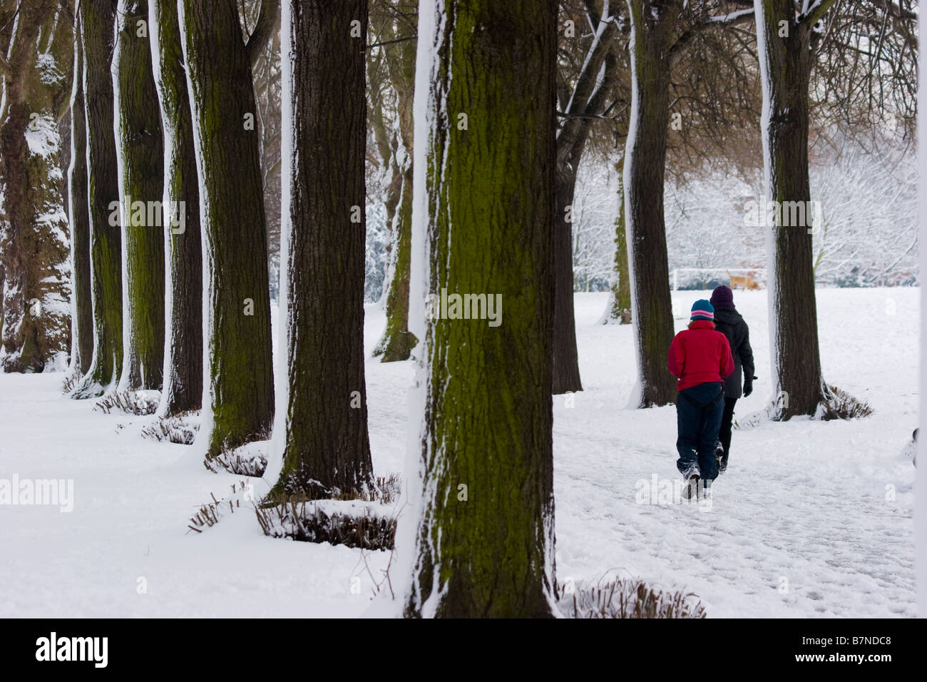 Schwere Schneefälle in London Vereinigtes Königreich Stockfoto