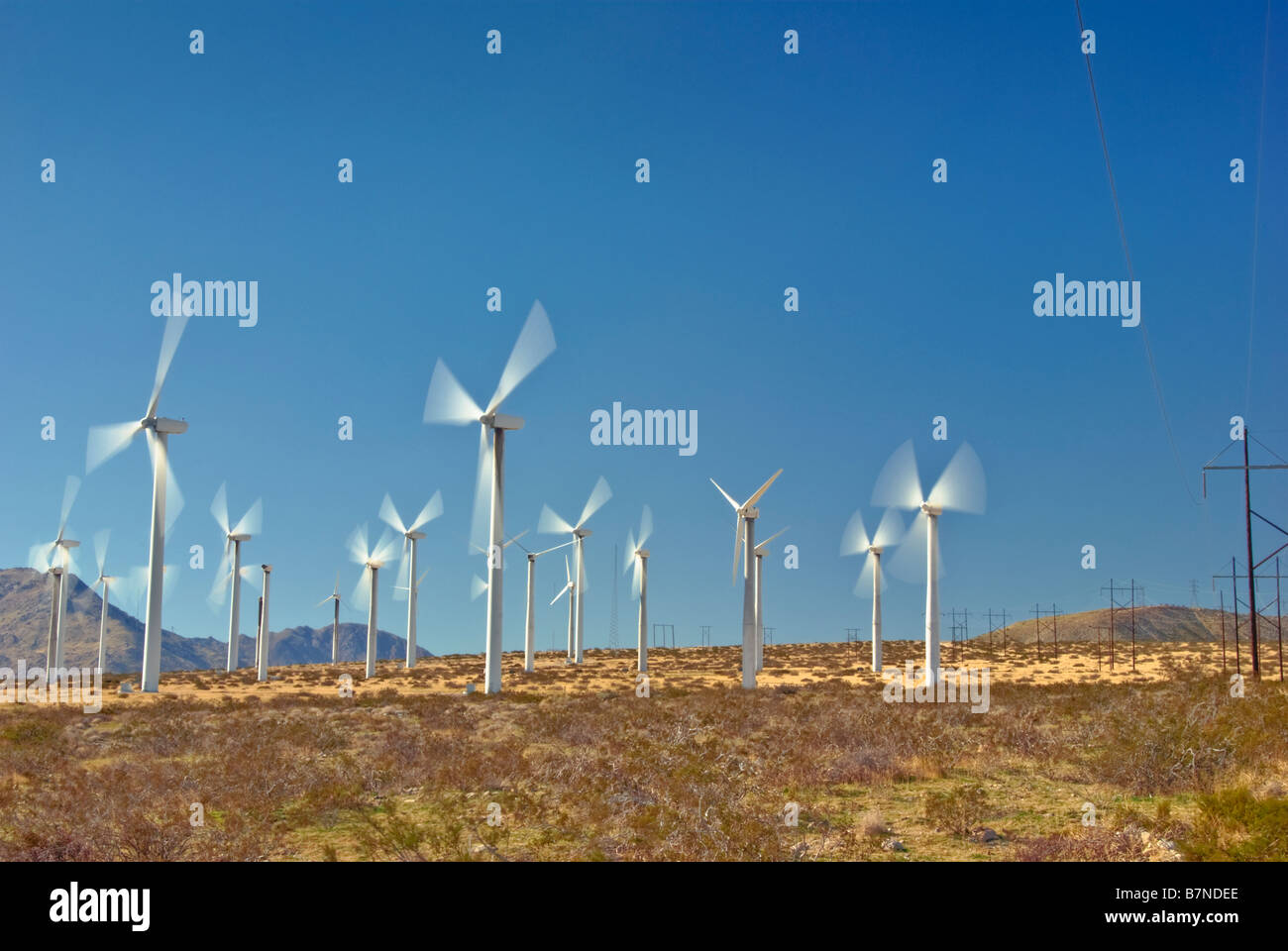 Wind Farm, Turbinen, North Palm Springs, CA, San Gorgonio Pass, Coachella Valley, Turbine Windpark Stockfoto