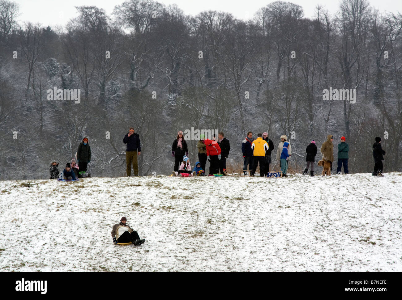 Tring Park Herts Winter Spaß 02.02.2009 Stockfoto