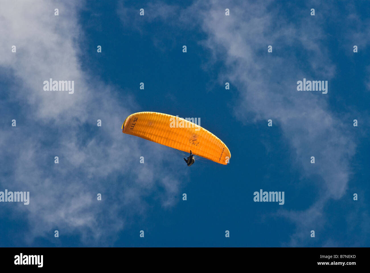 Drachenfliegen, Segelfliegen in Himmel Stockfoto