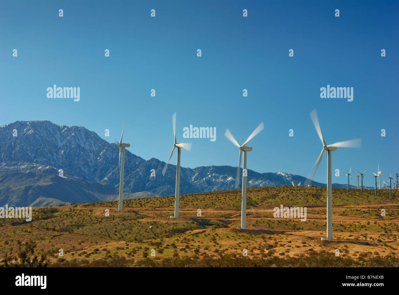 Wind Farm, Turbinen, North Palm Springs, CA, San Gorgonio Pass, Coachella Valley, Turbine Windpark Stockfoto