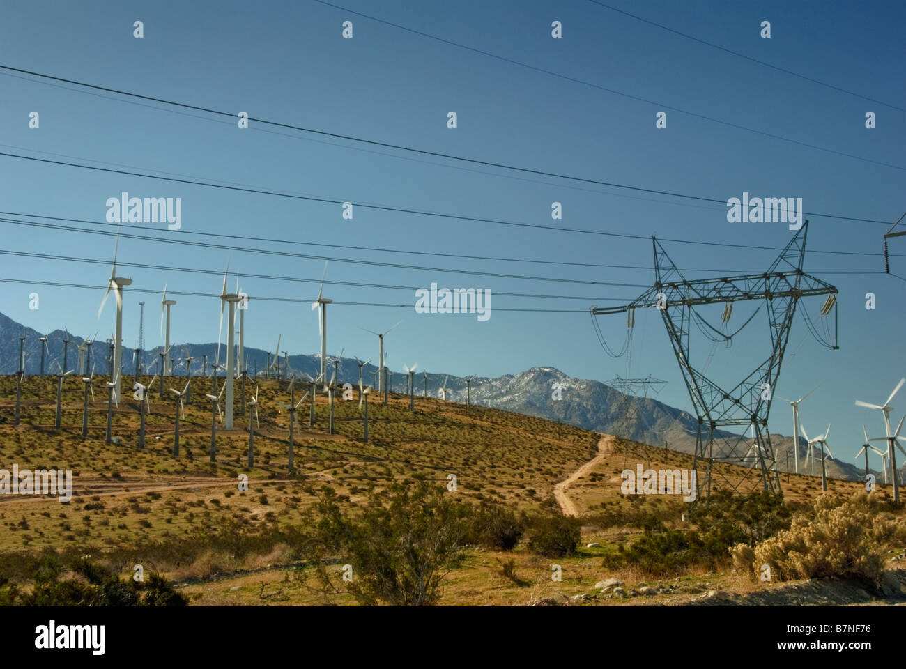 Wind Farm, Turbinen, North Palm Springs, CA, San Gorgonio Pass, Coachella Valley, Turbine Windpark, Stockfoto