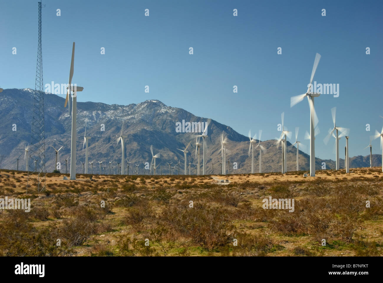 Wind Farm, Turbinen, North Palm Springs, CA, San Gorgonio Pass, Coachella Valley, Turbine Windpark. in Bewegung Stockfoto