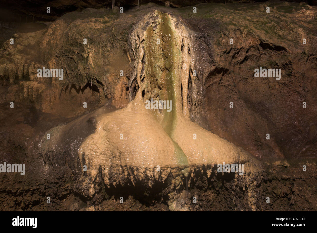 Stalagmiten / Stalaktiten auf der Ingleborough Messe Höhle Clapham Ribblesdale Yorkshire Dales U.K Stockfoto