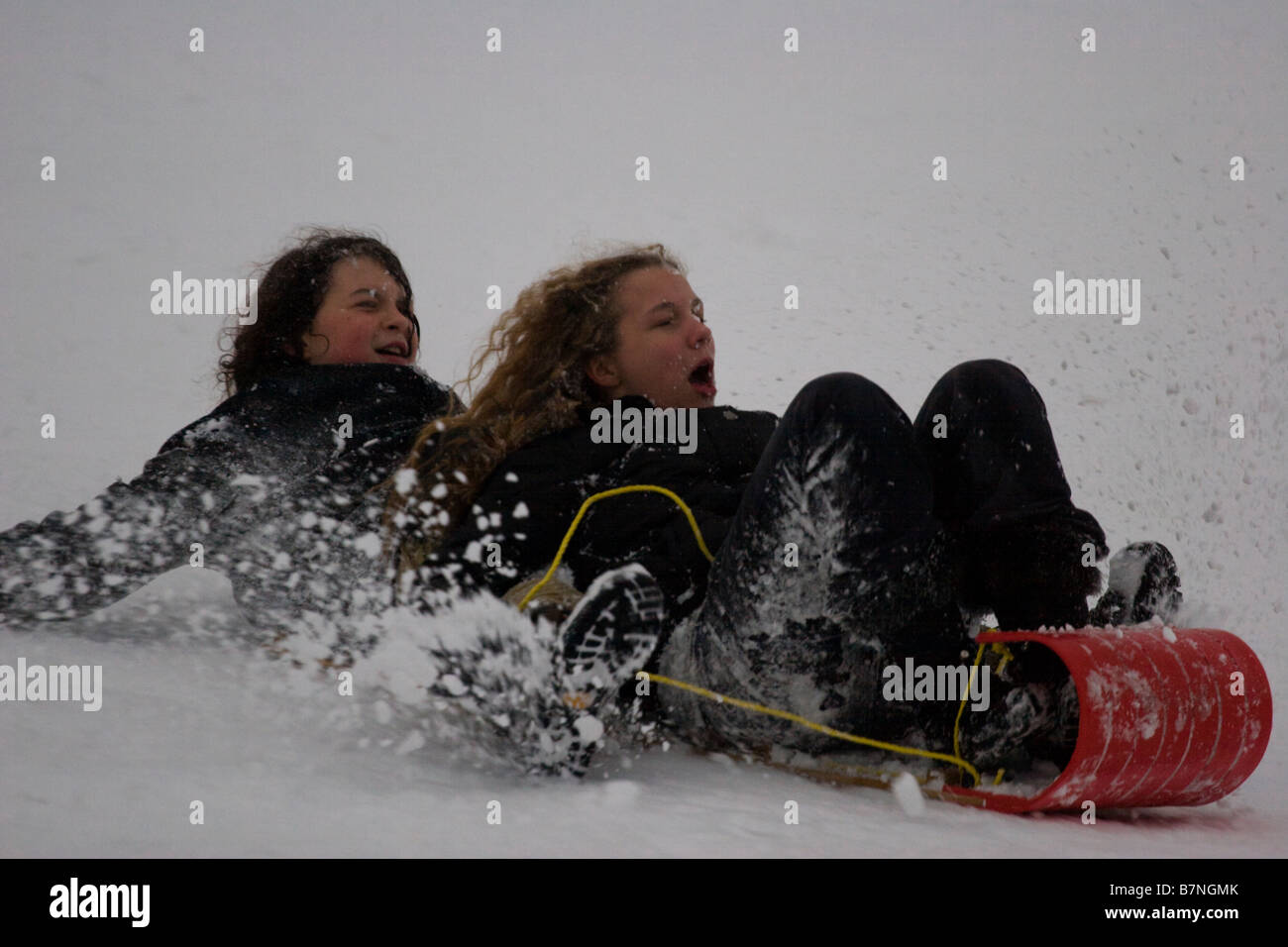 Rodeln - Riverdale Park - Toronto - Kanada Stockfoto