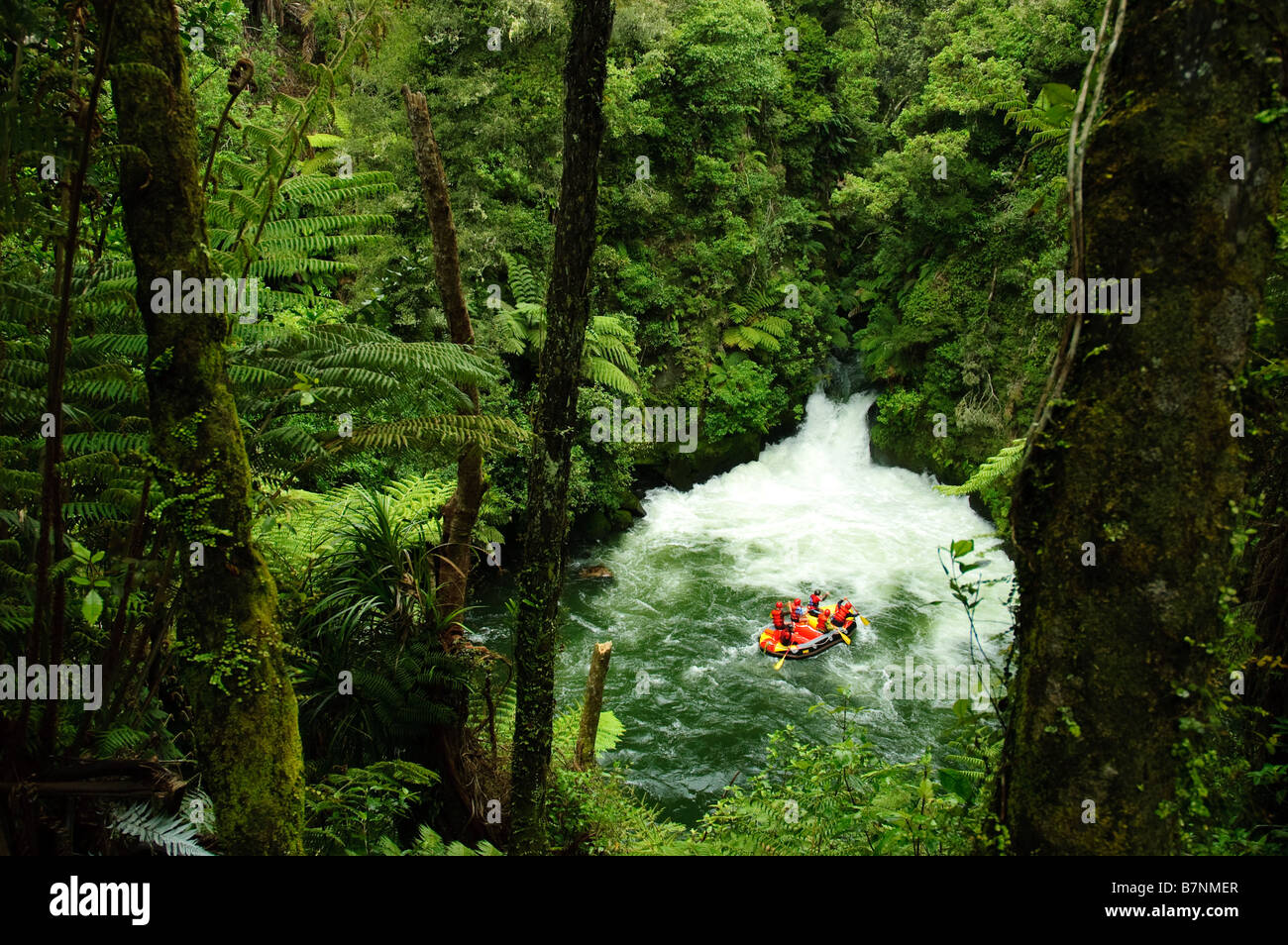 Die Kaituna Rafting Stockfoto