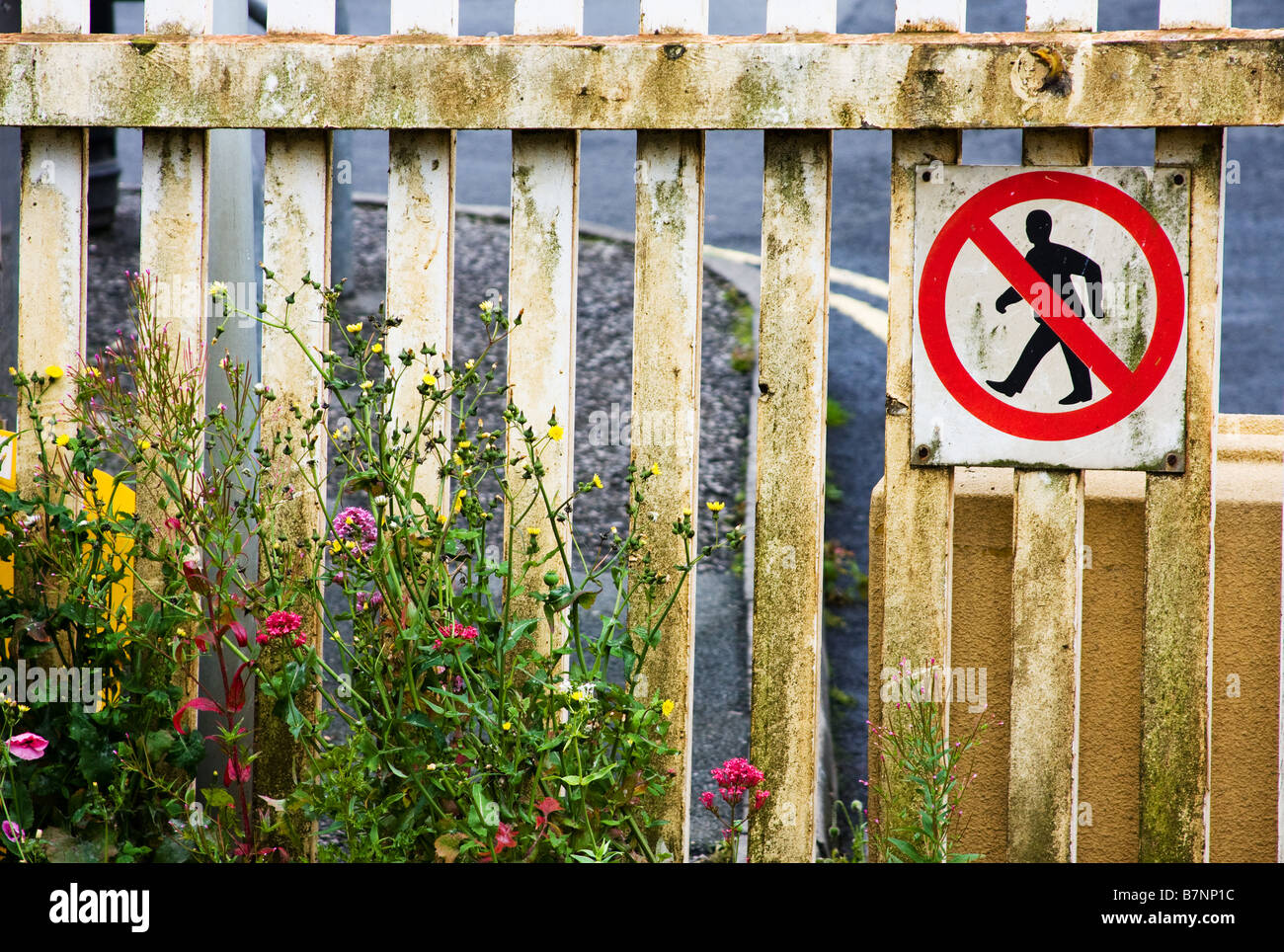 "Don ' t Walk" - Warnschild auf verwitterten Zaun am Knaresborough Bahnhof. Stockfoto