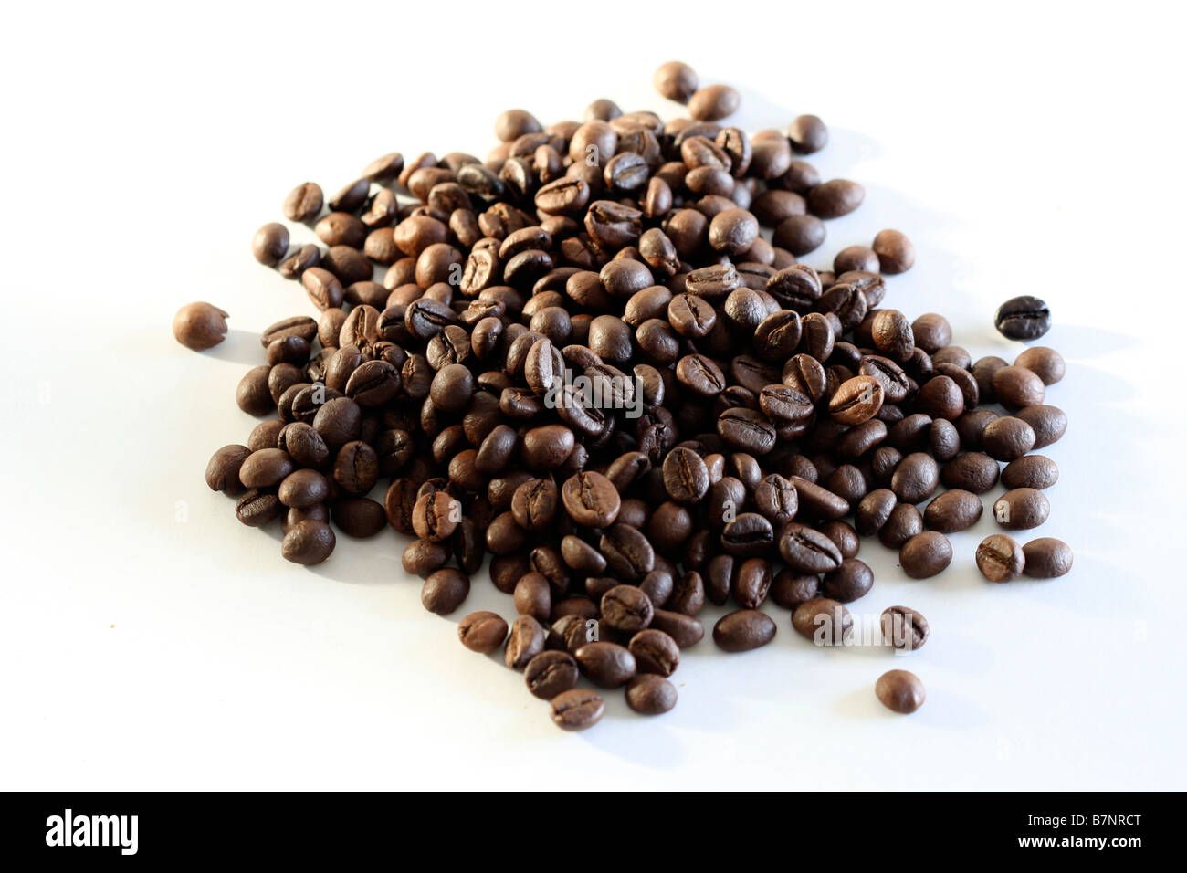 Makro des Kaffeebohnen Stockfoto