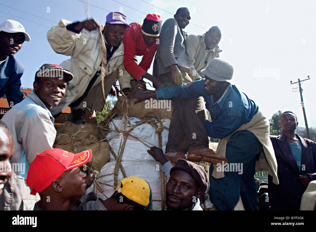 Miraa Markt. Meru Central Province Kenia. Stockfoto