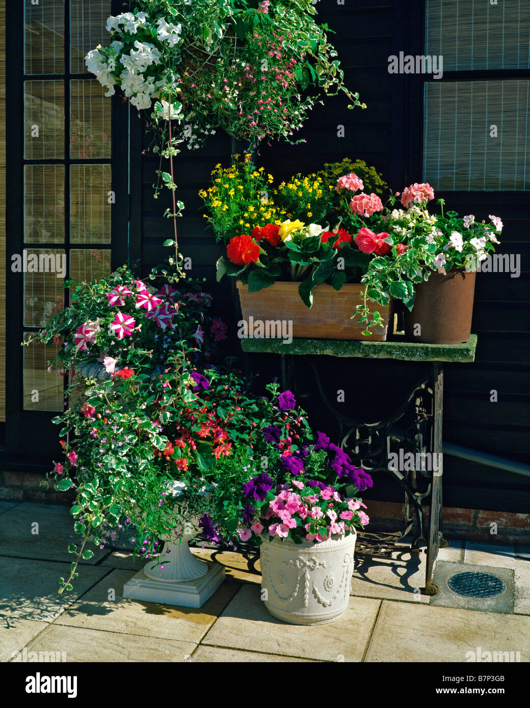 Sortierte gepflanzte Container mit hängenden Korb Stockfoto
