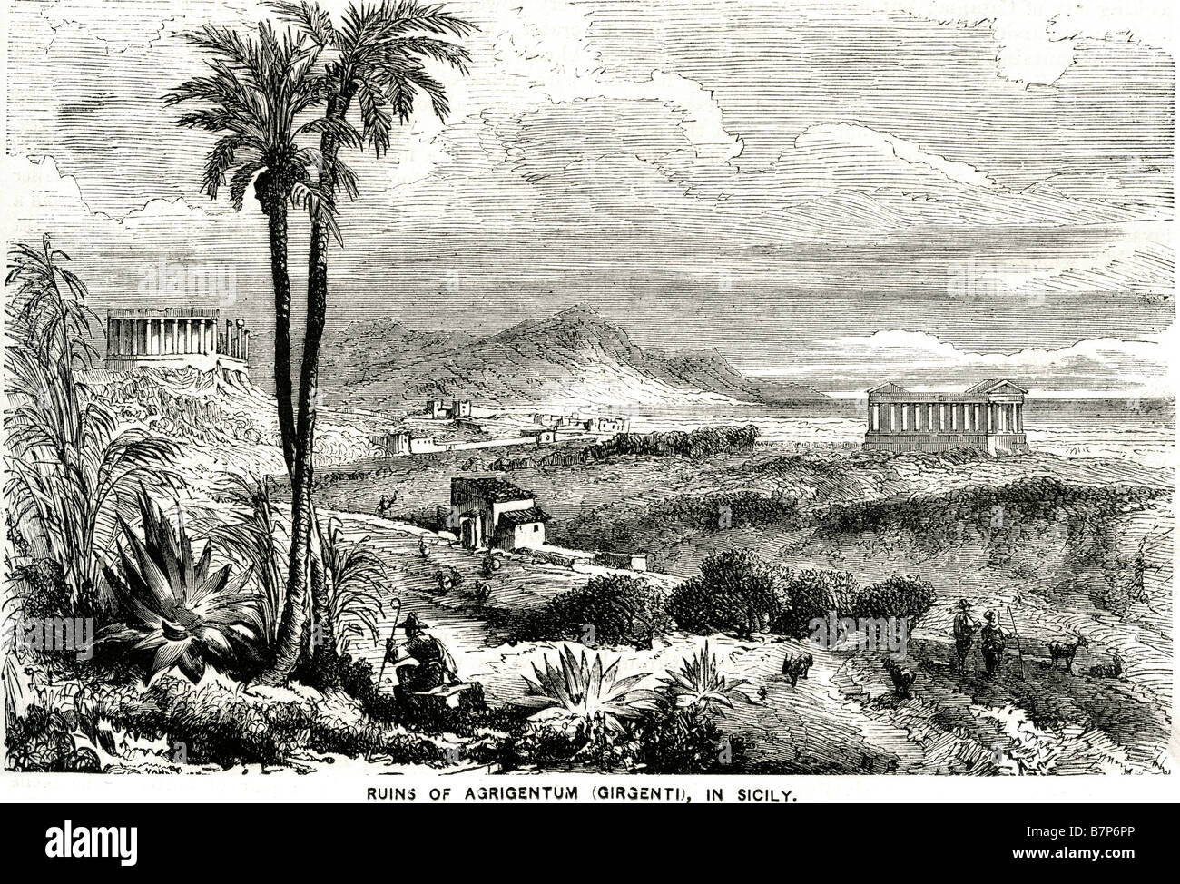 Ruinen von Agrigentum Girgenti Sizilien Geschichte alten zerstörten Mediterranean Royal Royalty Palm Agrigento (Sizilien: Girgenti), Stockfoto