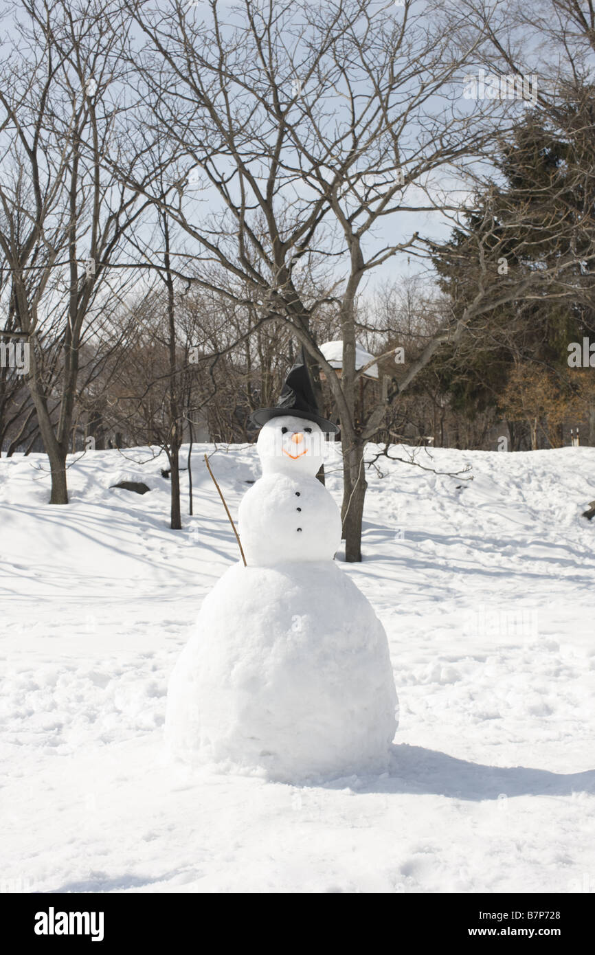 Ein Schneemann Stockfoto