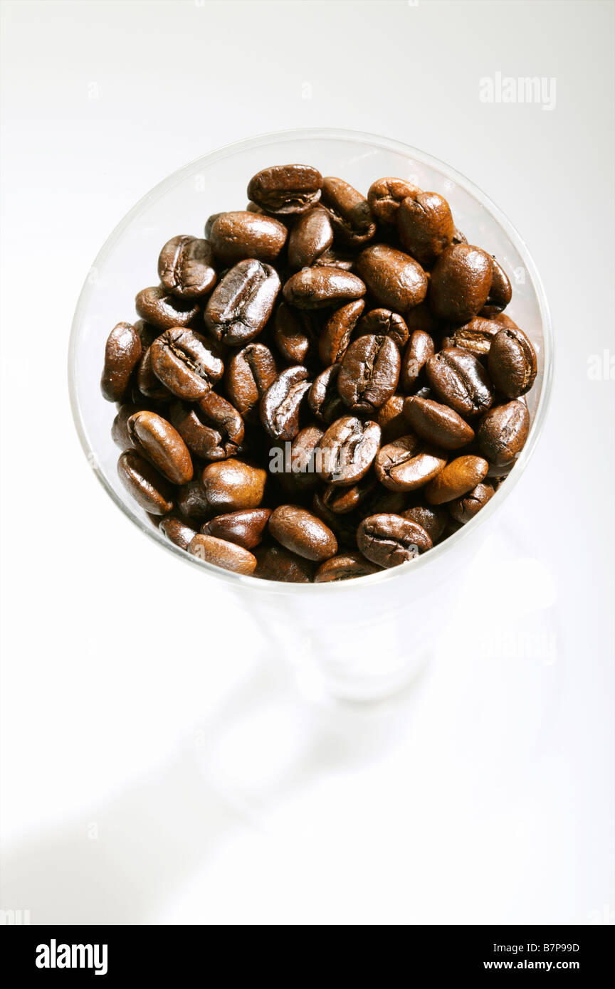 Dunkel geröstete Kaffeebohnen in einem Longdrinkglas abstrakte Lifestyle Getränk Café Kultur Bild Stockfoto