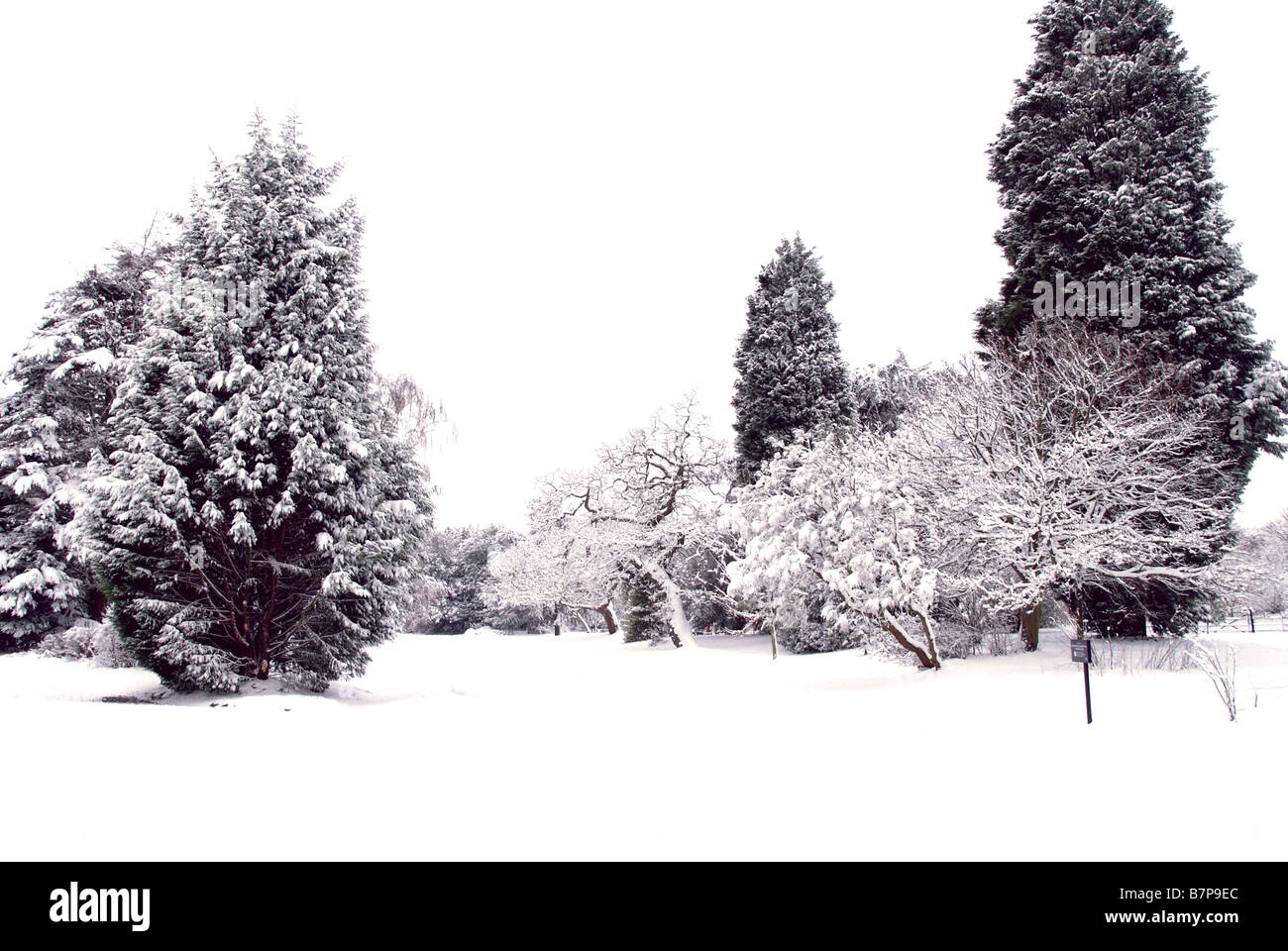 East Dulwich Park im Schnee Stockfoto