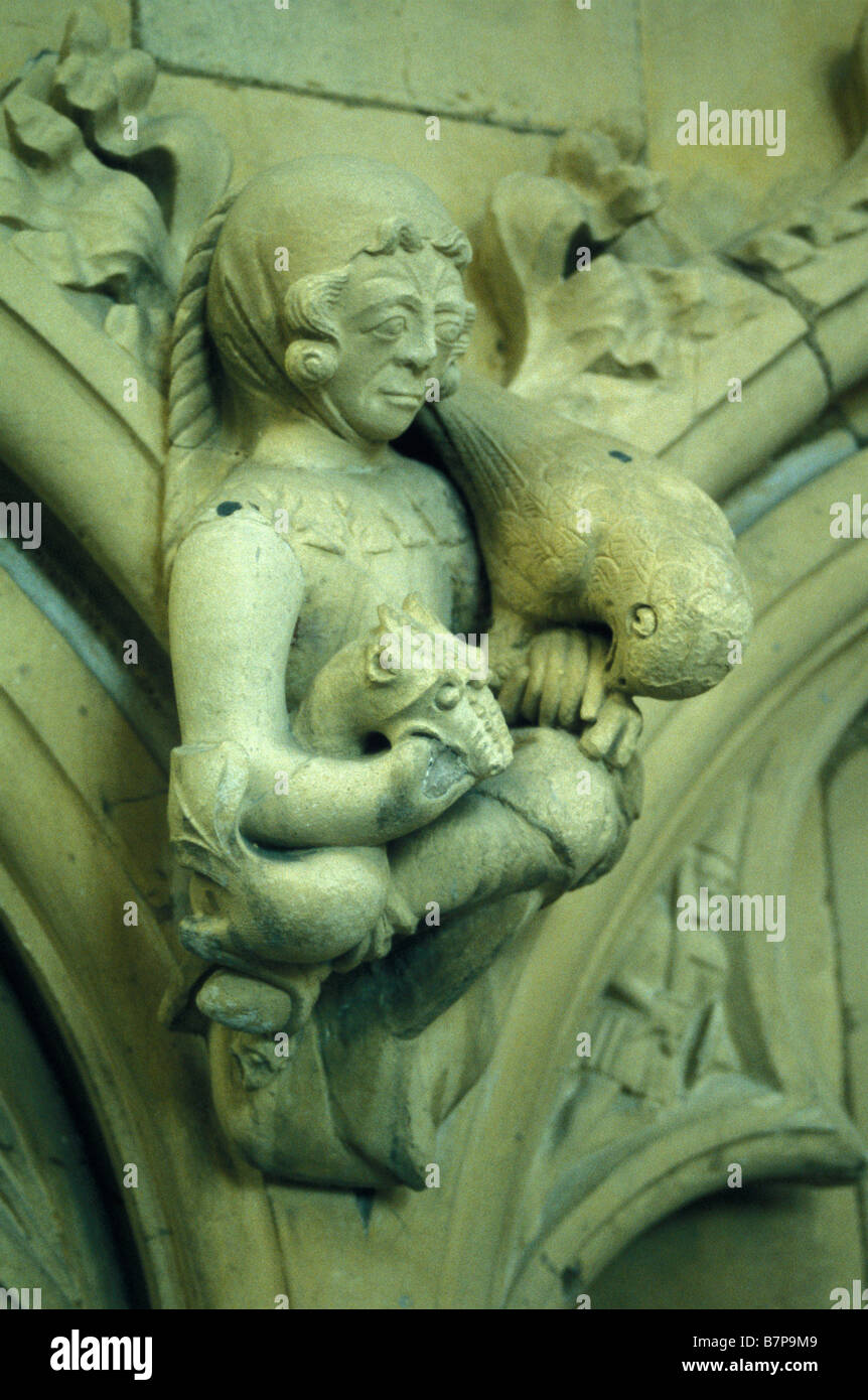 Wasserspeier von Frau mit Vogel und Drachen im Beverley Minster Kirche East Yorkshire England UK Stockfoto