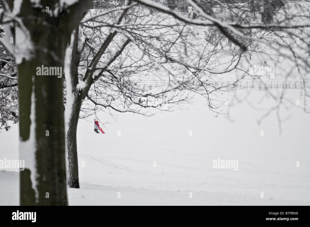 Ein kleiner Junge seinem Schlitten über den Schnee ziehen bedeckt Greenwich Park Stockfoto