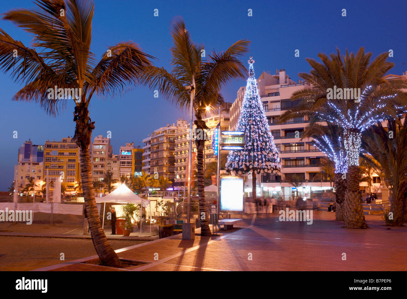 Weihnachtsbaum am Playa de Las Canteras Strand in Las Palmas auf Gran 