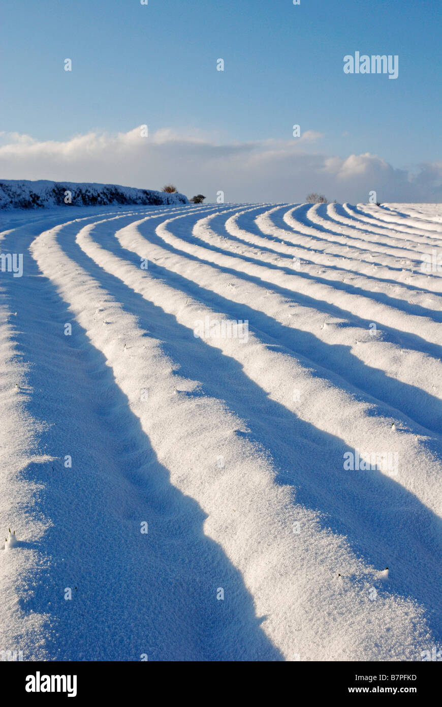 Acker bedeckt im frisch gefallenen Schnee, Cornwall, uk Stockfoto