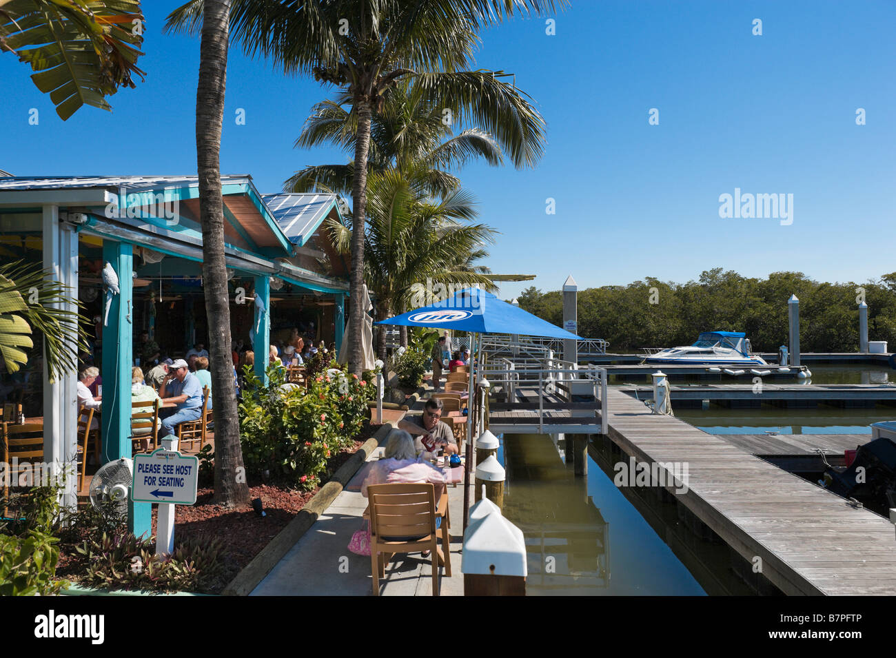 Papagei wichtige Caribbean Grill, salzige Sams Marina, San Carlos Island, Fort Myers Beach, Golfküste, Florida, USA Stockfoto