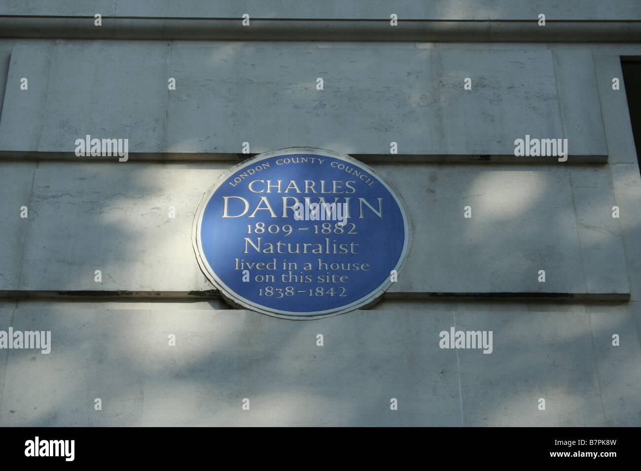 Darwins blaue Plakette in der Gower Street London Stockfoto