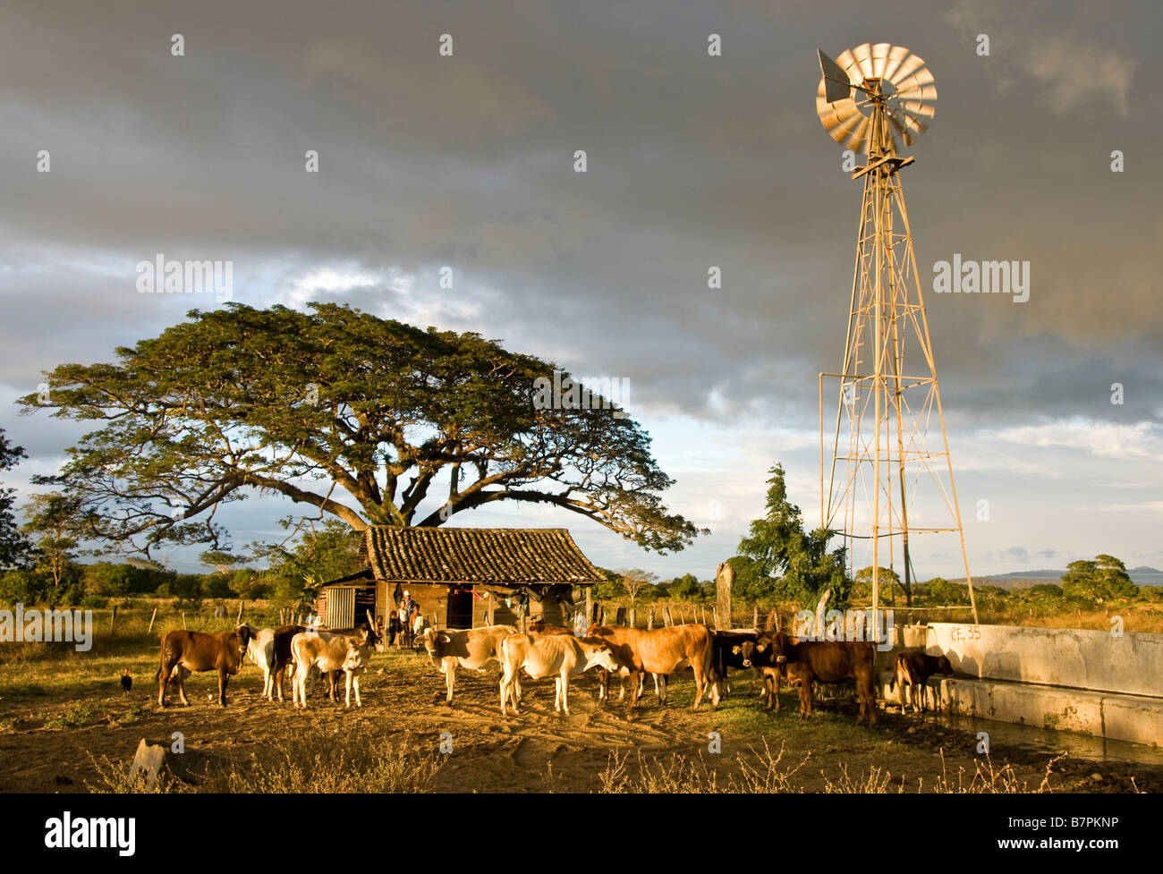 Nicaraguanische Mieter Bauernhof im ländlichen Rivas Abteilung westlich von Nicaragua-See Stockfoto