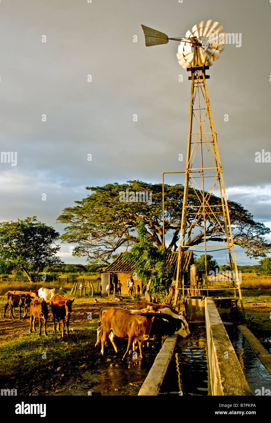 Nicaraguanische Mieter Bauernhof im ländlichen Rivas Abteilung westlich von Nicaragua-See Stockfoto