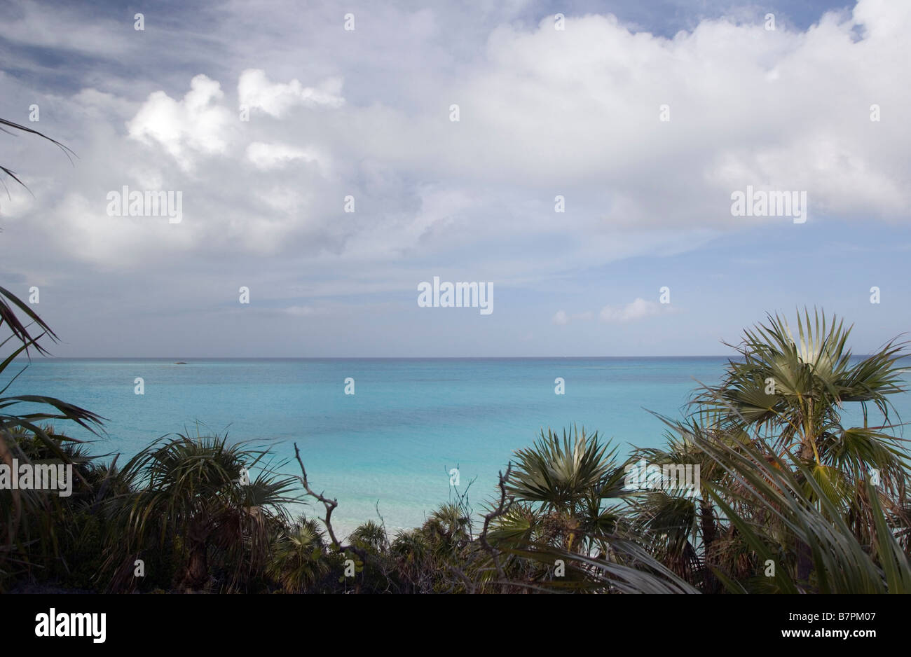 kristallklares Wasser in Bahamanian Land Sea Park Stockfoto