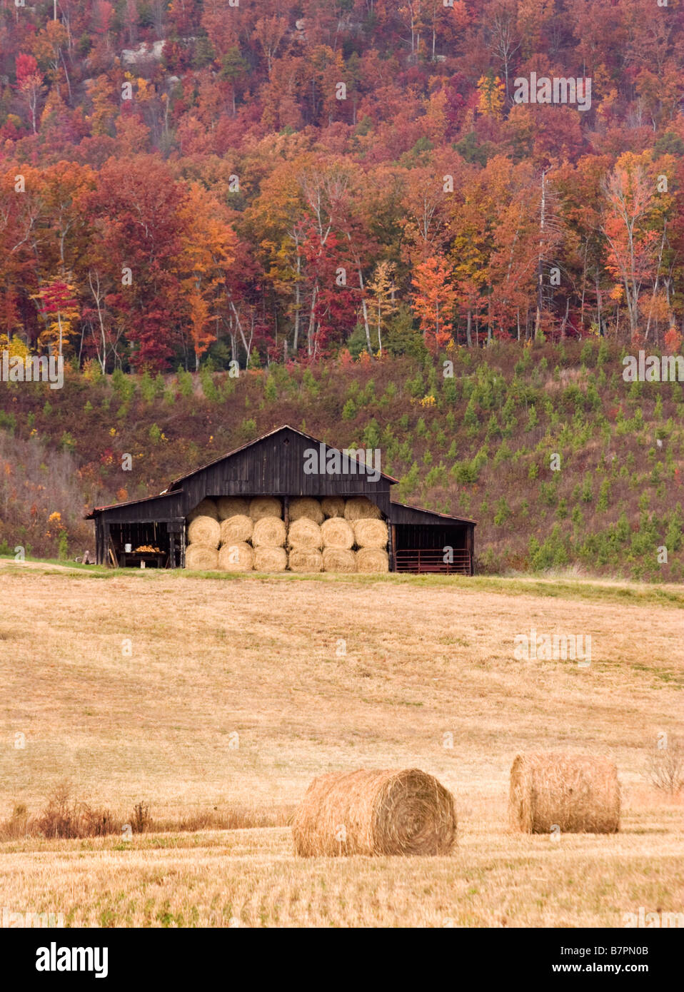 Alte Scheune und Heuballen in Spring City Tennessee Stockfoto