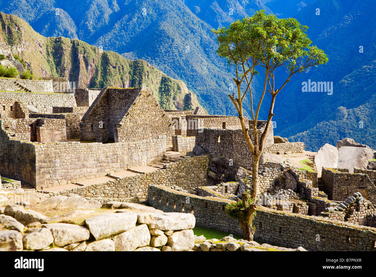 Häuser in Machu Picchu Stockfoto