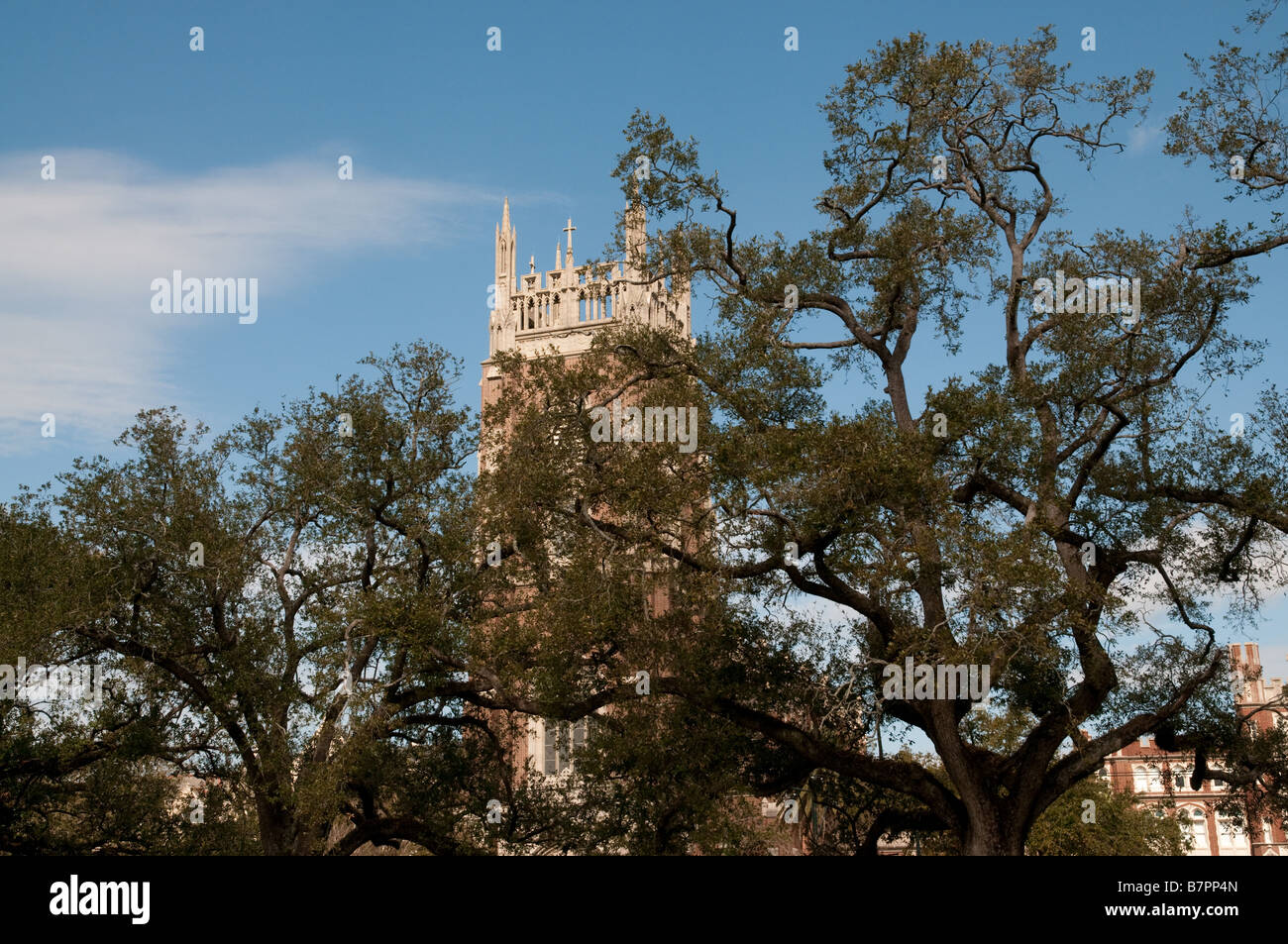 Loyola Turm Stockfoto