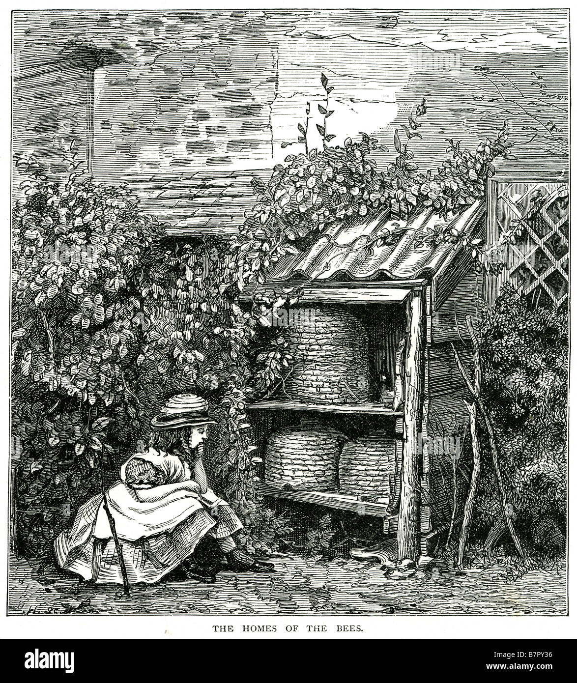 Häuser Bienen Nesselsucht Honey Bee Garden Shed Plumpsklo Insekten Sommer Kind Mädchen sitzen Haus traditionelle Stockfoto
