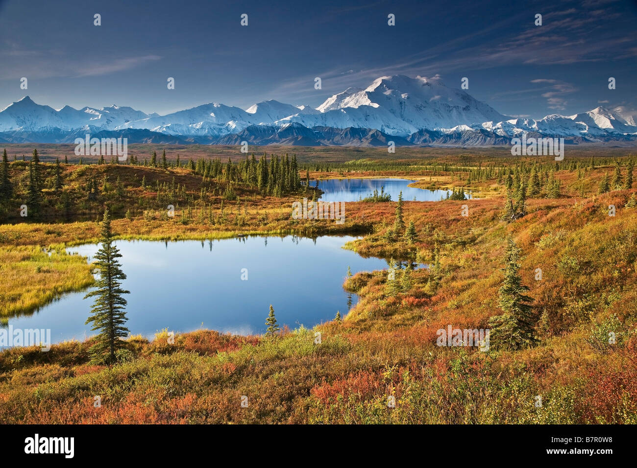 Panoramablick auf Tundra Teiche und Farben des Herbstes mit Mt. Mckinley im Hintergrund, Denali-Nationalpark, Alaska Stockfoto