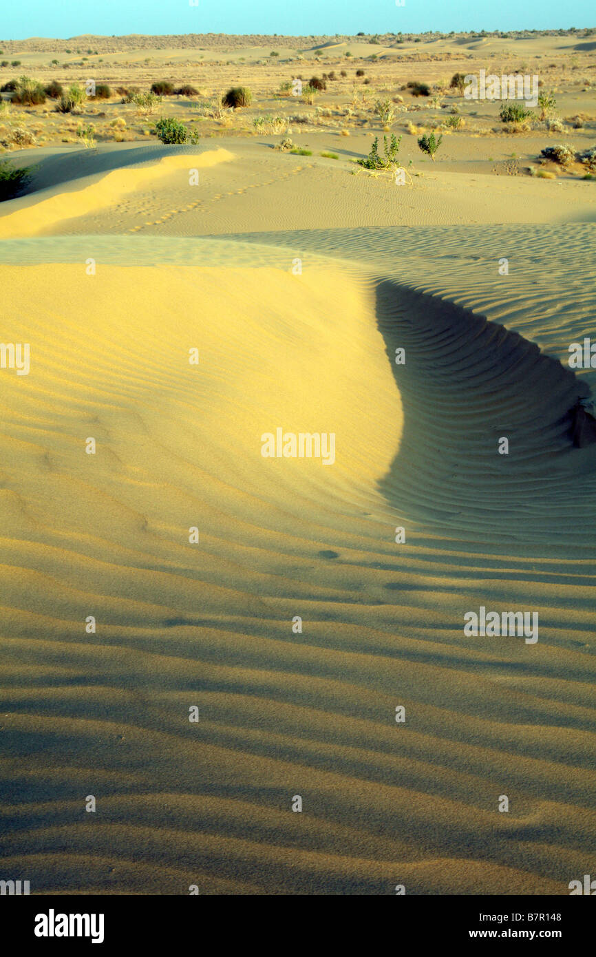 Sand Muster an den Sam-Dünen in der Wüste thar Stockfoto