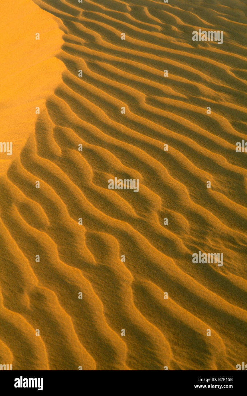 Sand Muster in der Thar-Wüste in den Sam-Dünen bei Sonnenuntergang Stockfoto