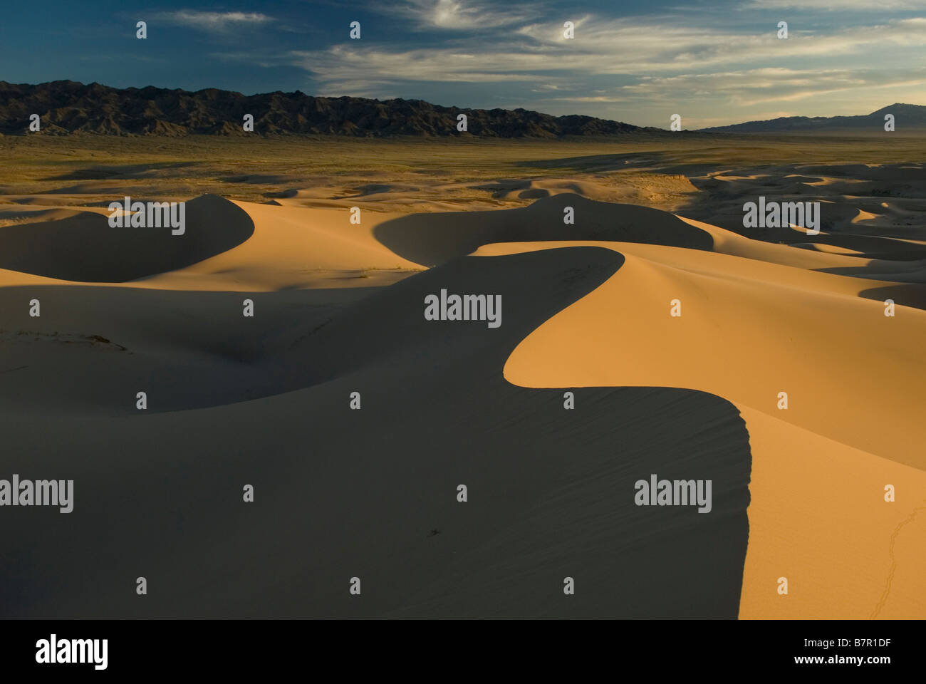 Khongoryn Els Dünen (Singing Sands) ragen 200m die Steppen und felsigen Macchia der Wüste Gobi Stockfoto
