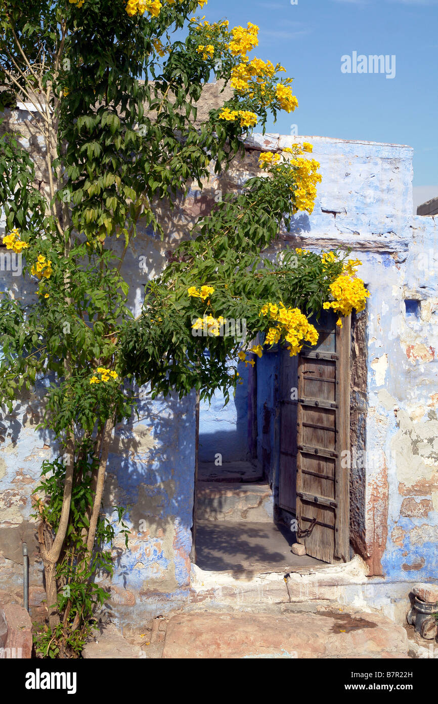 traditionellen Brahmanen blau gemaltes Haus in die Gassen der alten Stadt jodhpur Stockfoto