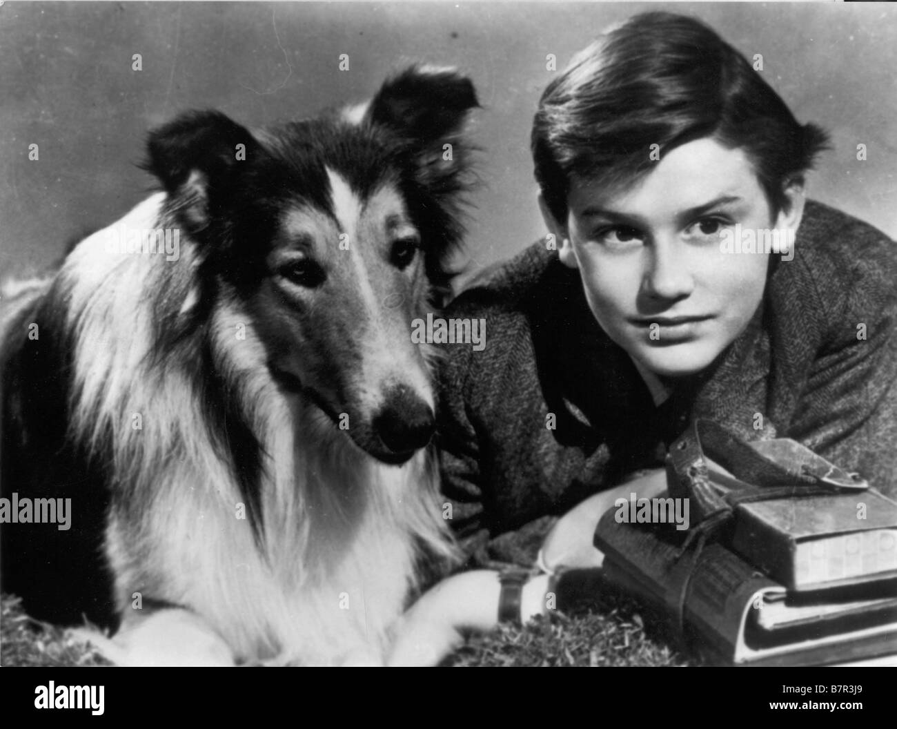 Lassie Come Home Jahr: 1943-usa Roddy McDowall Regie: Fred M. Wilcox Stockfoto