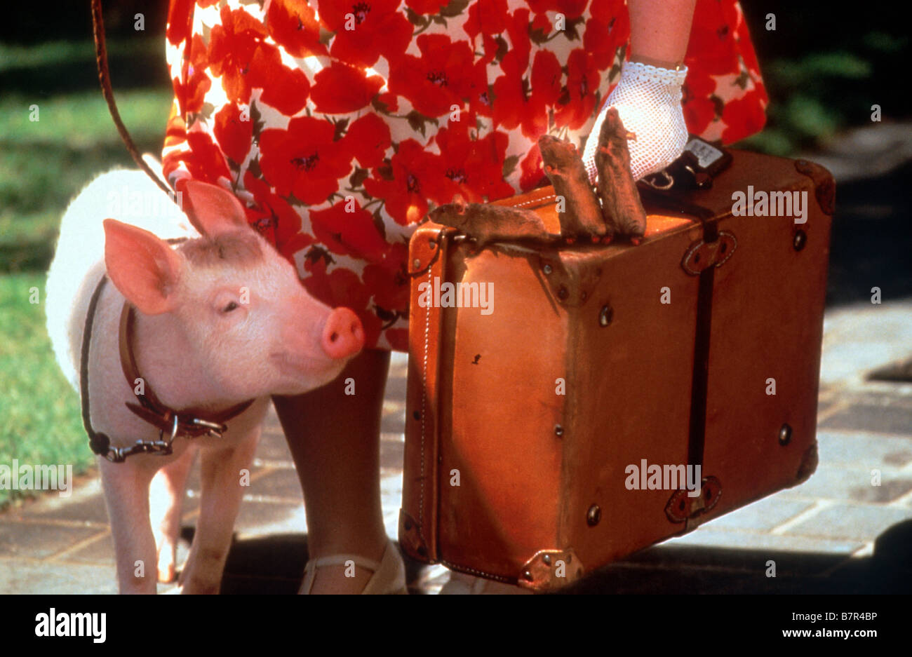 Babe, Le Cochon dans la ville Babe: Pig in der Stadt Jahr: 1998 - Australien/USA Regie: George Miller Stockfoto