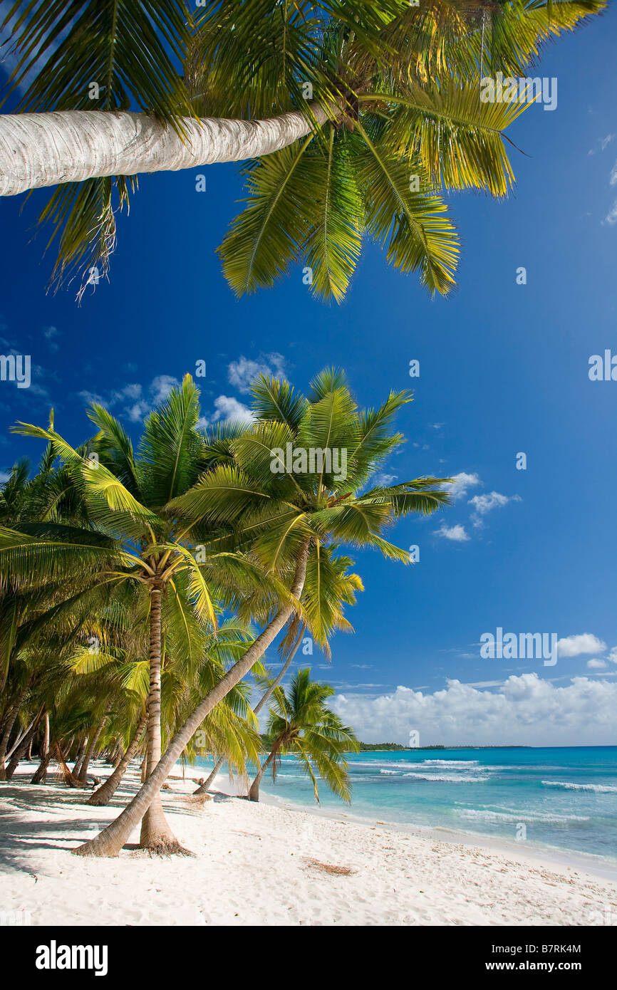 STRAND AUF ISLA SAONA PARQUE NATIONAL DEL ESTE DOMINIKANISCHE REPUBLIK KARIBIK Stockfoto