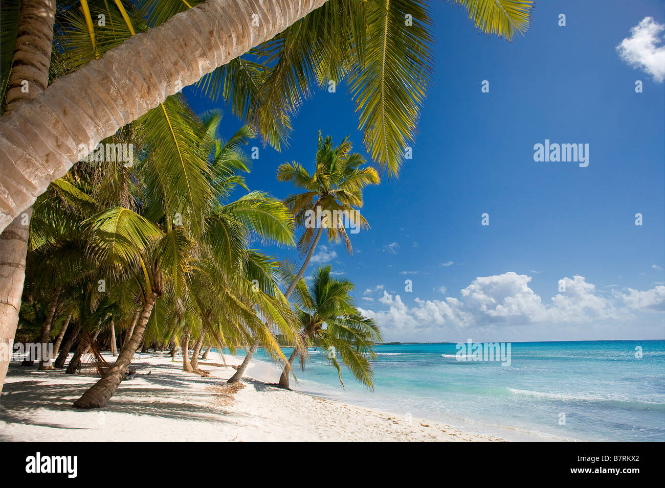 STRAND AUF ISLA SAONA PARQUE NATIONAL DEL ESTE DOMINIKANISCHE REPUBLIK KARIBIK Stockfoto