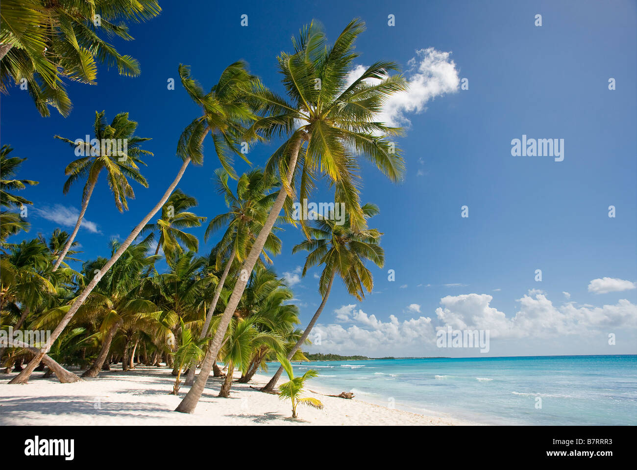 STRAND AUF ISLA SAONA PARQUE NATIONAL DEL ESTE DOMINIKANISCHE REPUBLIK KARIBIK Stockfoto